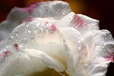 《黑兽2‧改》Steam版发售 优惠价73元支持中文